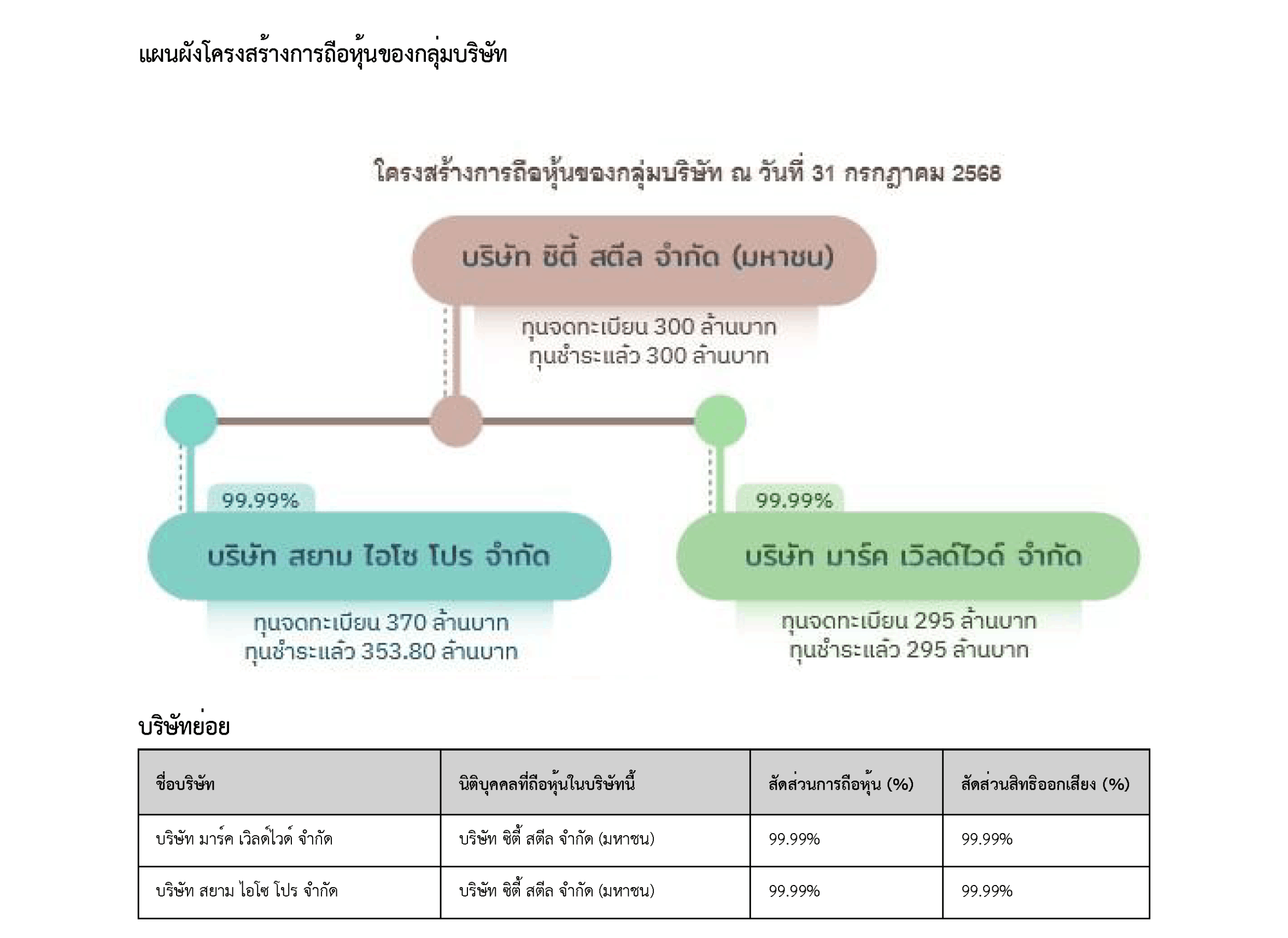 shareholding diagram group company th page01